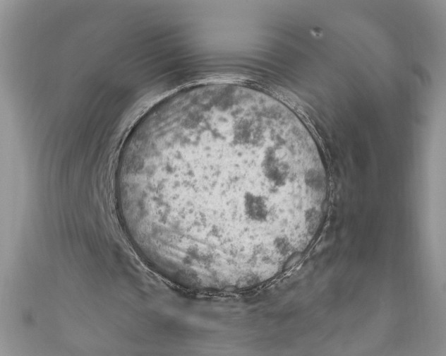 X0000111040337200907161349