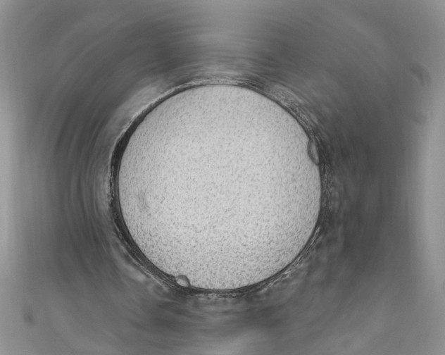 X0000111040338200907161349