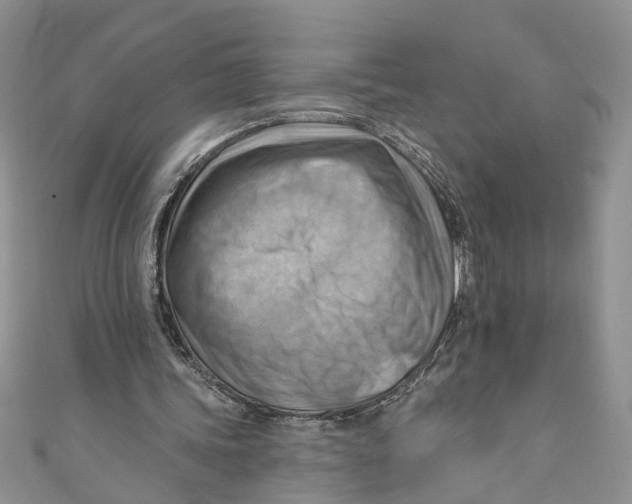 X0000111040339200907161349