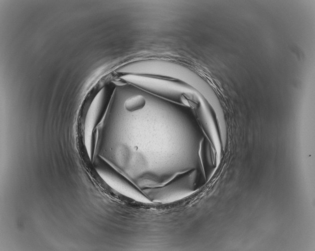 X0000111040340200907161349