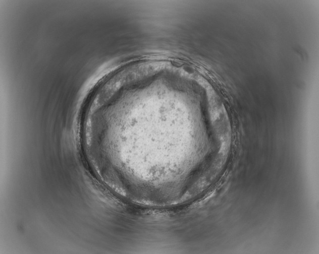 X0000111040343200907161349