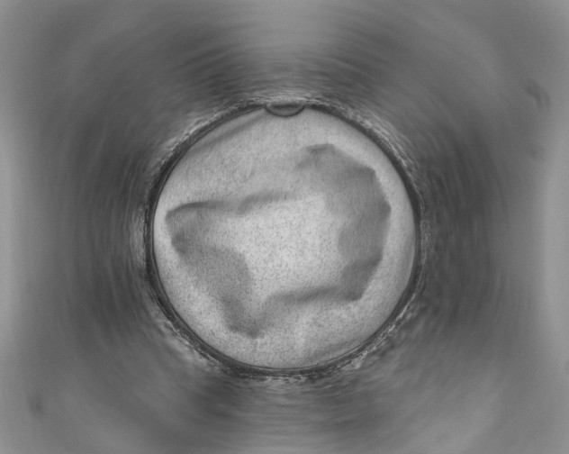 X0000111040345200907161349