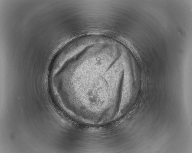 X0000111040346200907161349