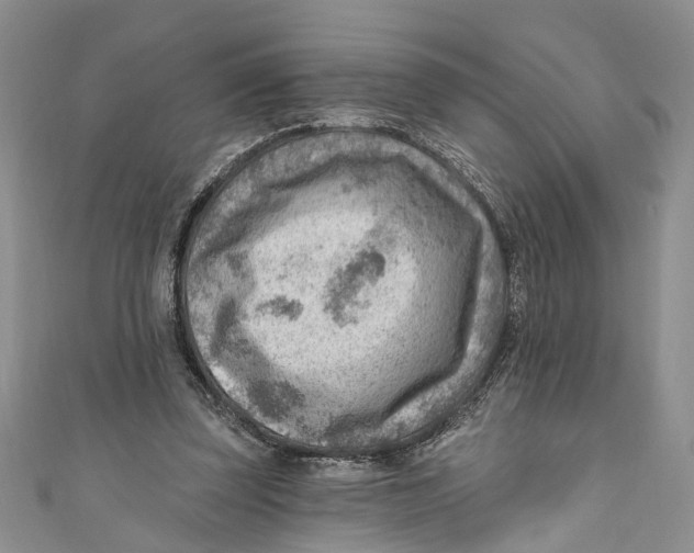 X0000111040347200907161349