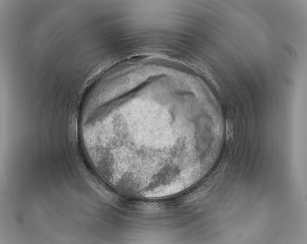 X0000111040349200907161349