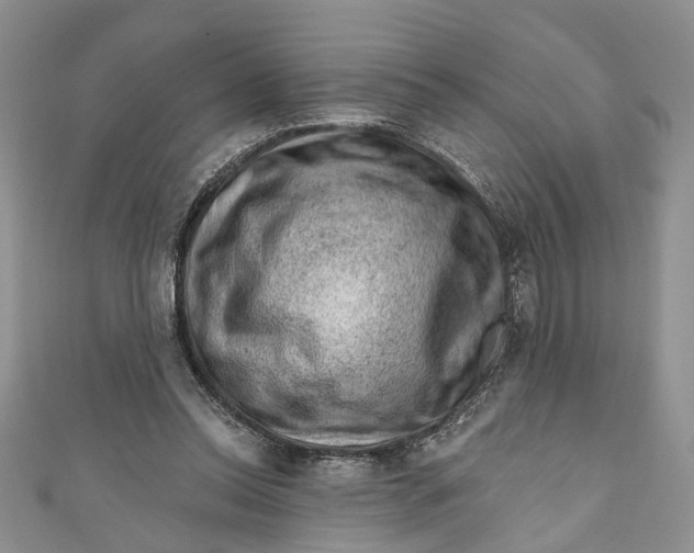 X0000111040350200907161349