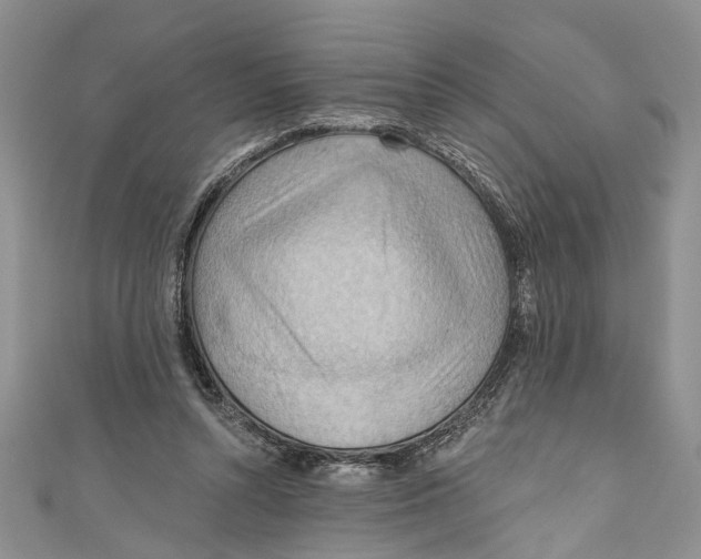 X0000111040352200907161349