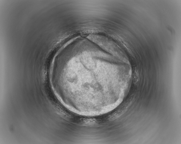 X0000111040355200907161349