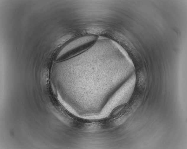 X0000111040356200907161349