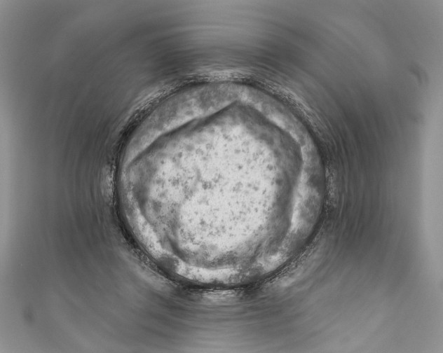 X0000111040357200907161349