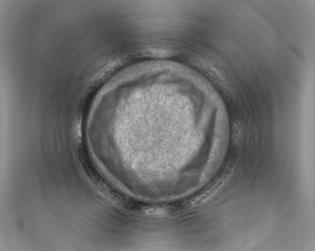 X0000111040358200907161349