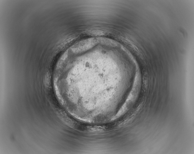 X0000111040359200907161349