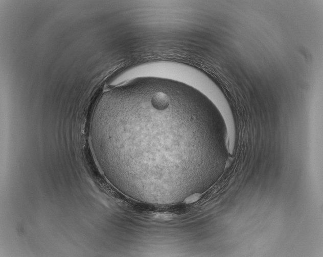 X0000111040360200907161349