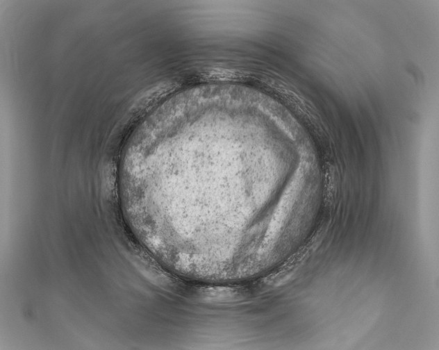 X0000111040361200907161349