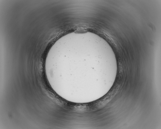 X0000111040362200907161349