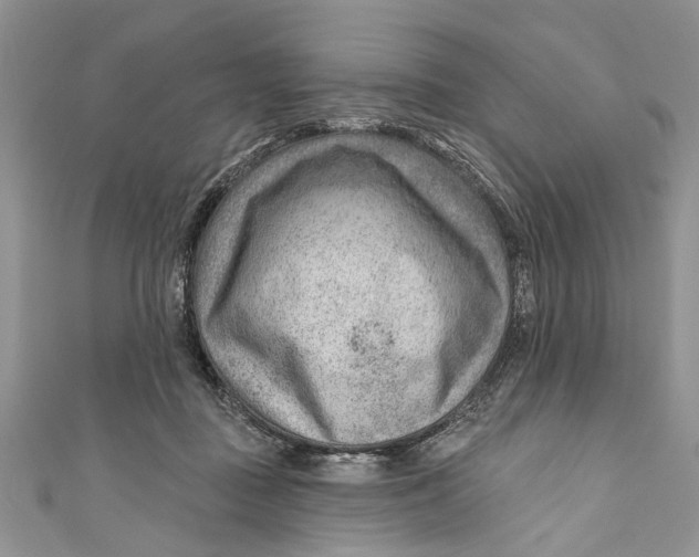 X0000111040363200907161349