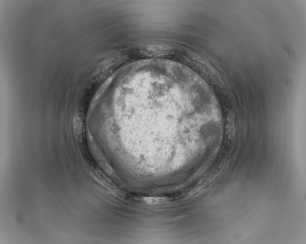 X0000111040371200907161349