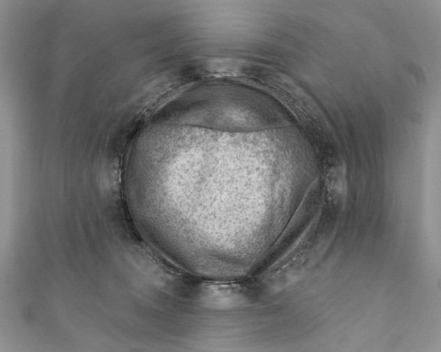 X0000111040372200907161349