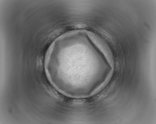 X0000111040373200907161349