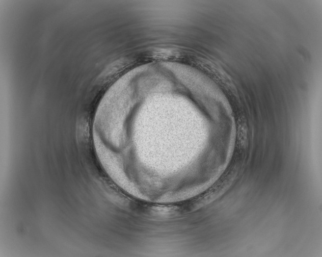 X0000111040375200907161350