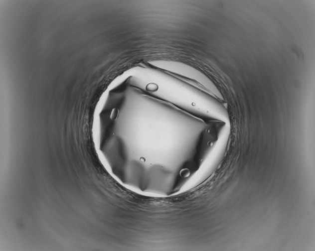 X0000111040376200907161350