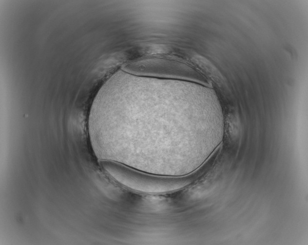 X0000111040380200907161350