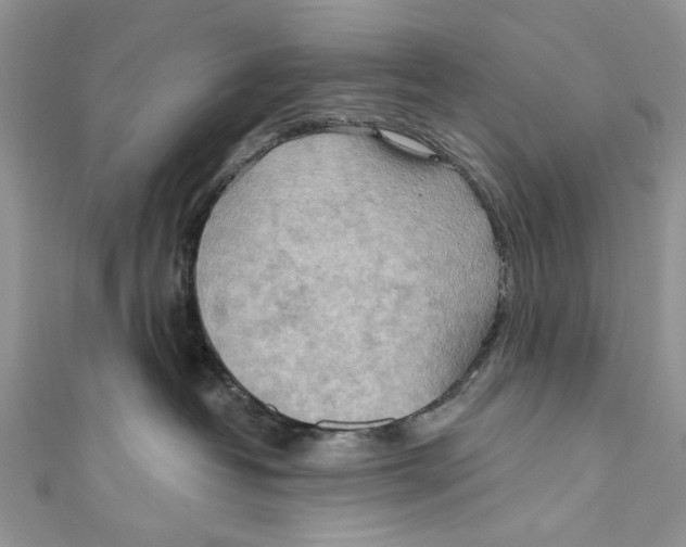 X0000111040382200907161350