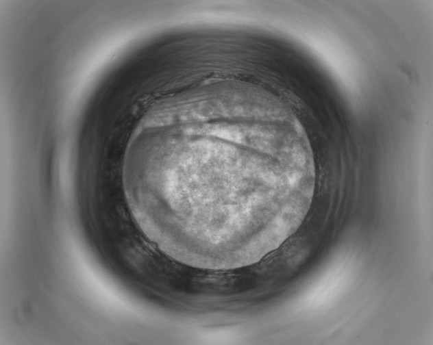 X0000111040383200907161350