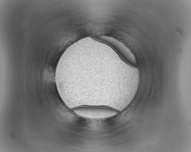 X0000111040384200907161350