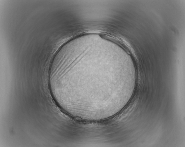 X0000111040385200907161349