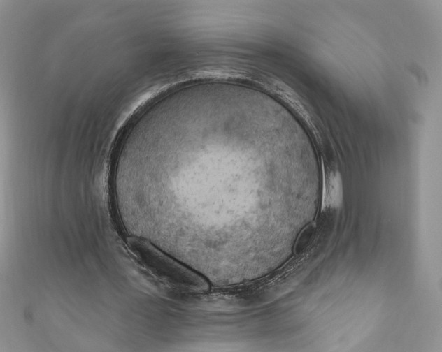 X0000111040387200907161349