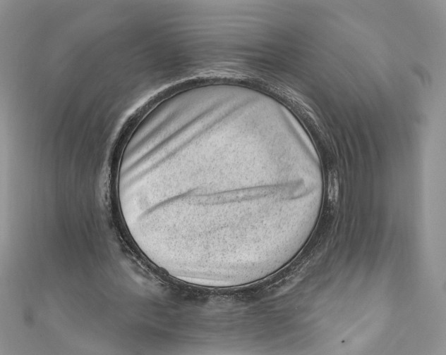 X0000111040388200907161349