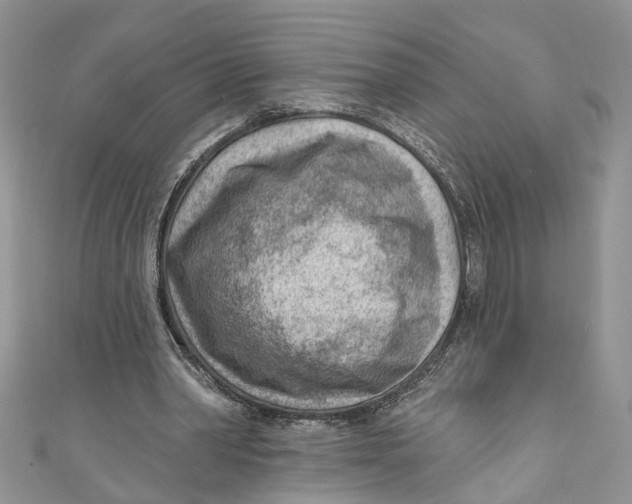 X0000111040390200907161349