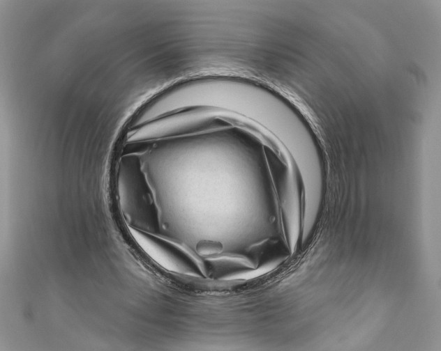 X0000111040391200907161349