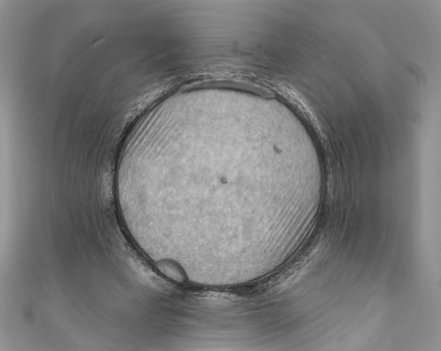 X0000111040393200907161349