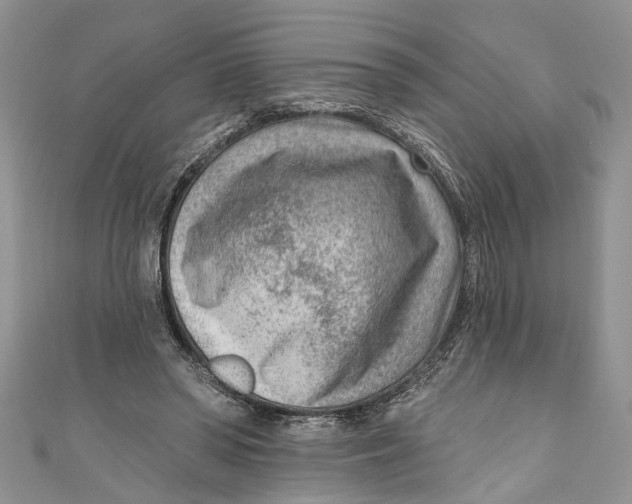 X0000111040398200907161349