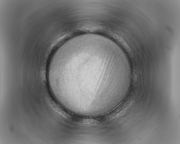 X0000111040399200907161349