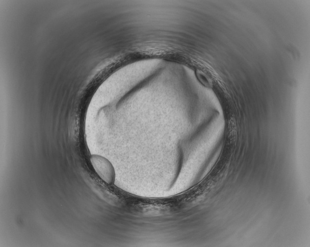 X0000111040400200907161349