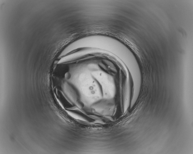 X0000111040401200907161349