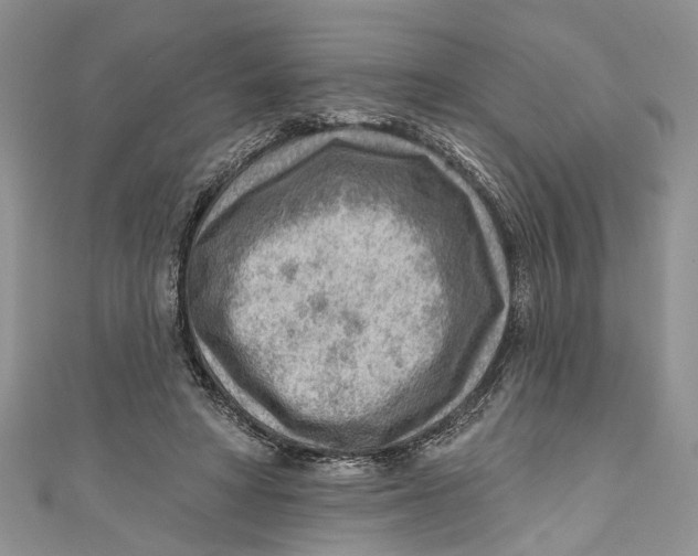 X0000111040402200907161349