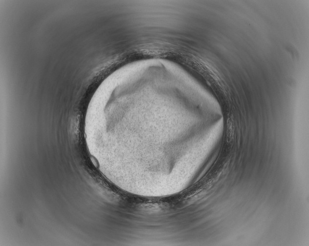 X0000111040404200907161349