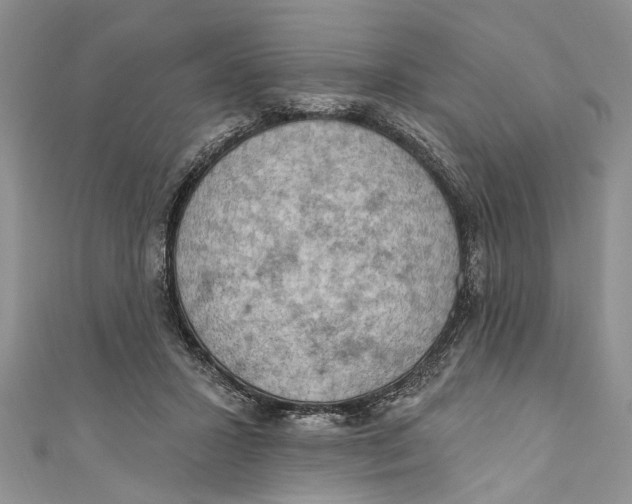 X0000111040407200907161349