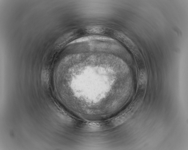 X0000111040409200907161349