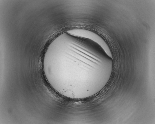 X0000111040411200907161349