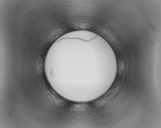 X0000111040414200907161349