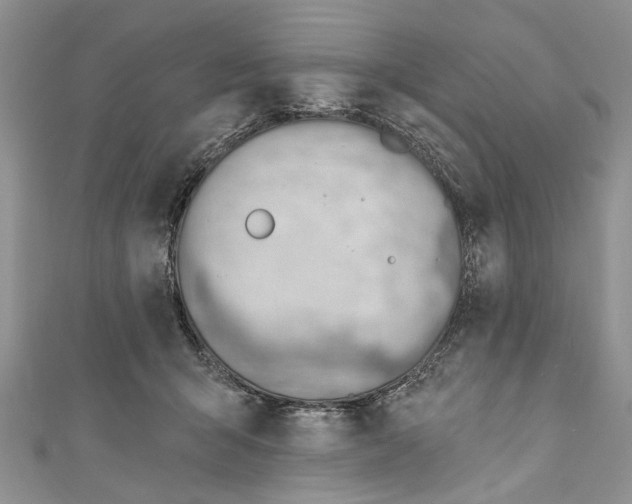 X0000111040415200907161349