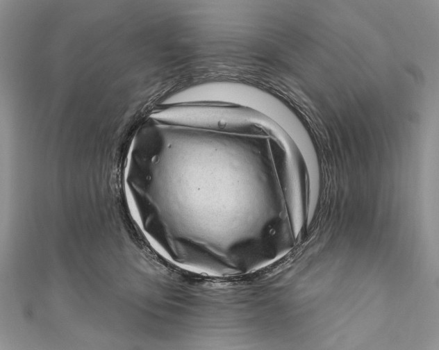 X0000111040419200907161349