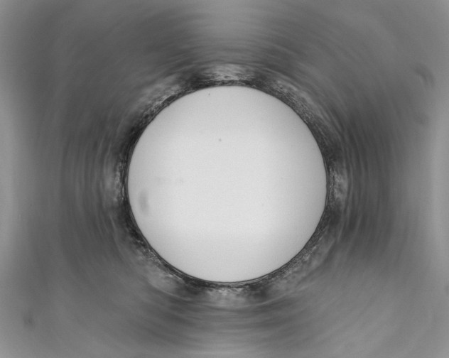 X0000111040422200907161349