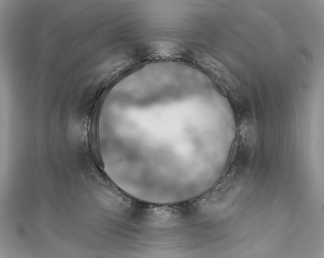 X0000111040423200907161349