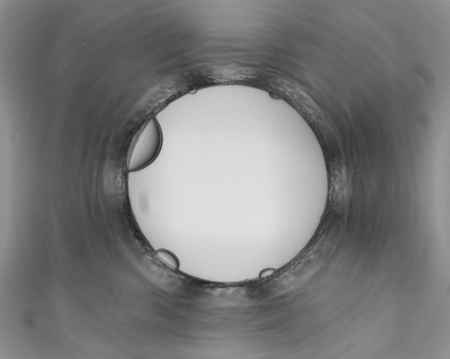 X0000111040426200907161349